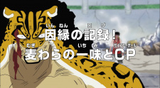 بوستر One Piece: Innen no Log! Mugiwara no Ichimi to Cipher Pol